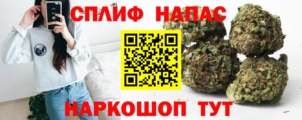 Канабис планчик  Вход с VPN  Бошки марихуана тримм  Каннабис White Widow  Полысаево 
